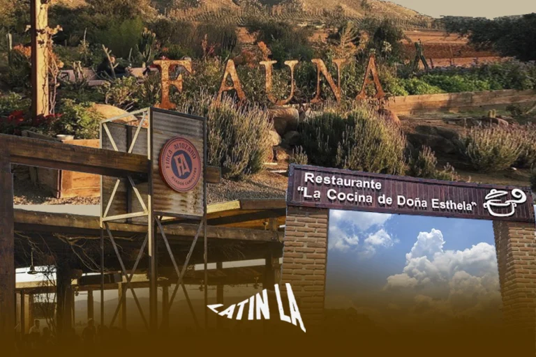 Tres restaurantes que definen cómo se come en el Valle de Guadalupe