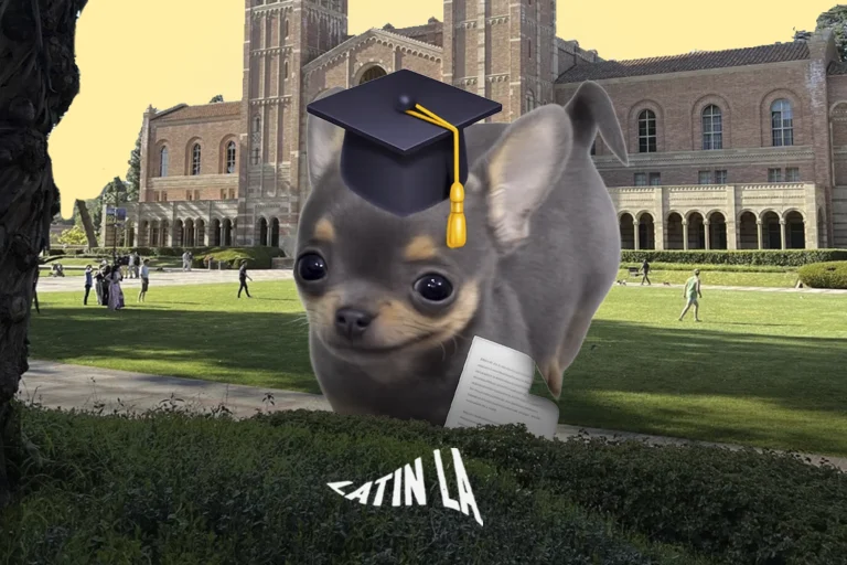 Estudiantes indocumentados en California pueden recibir ayuda para pagar la universidad