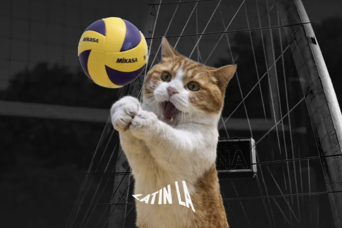 56_VOLEIBOL_SITIO_WEB