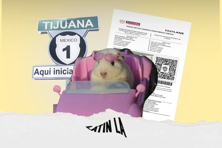 Alertan por venta irregular de pases médicos en la frontera: un riesgo creciente en Tijuana