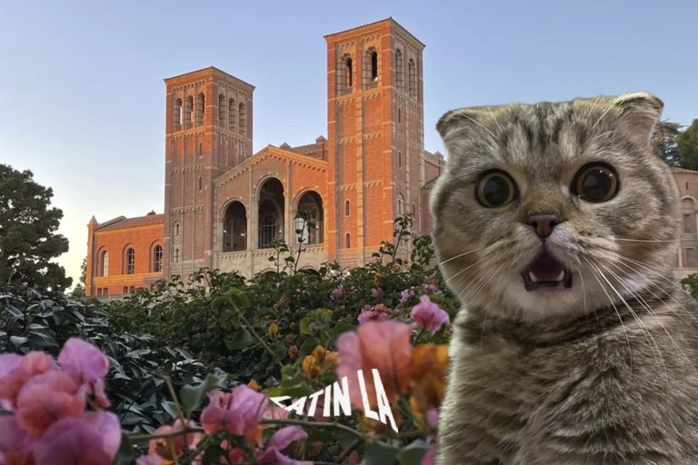 UCLA deja el primer lugar entre universidades públicas en EE.UU.