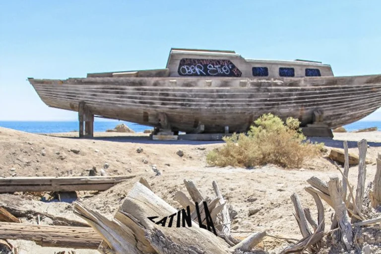 California crea una nueva agencia para rescatar el Salton Sea