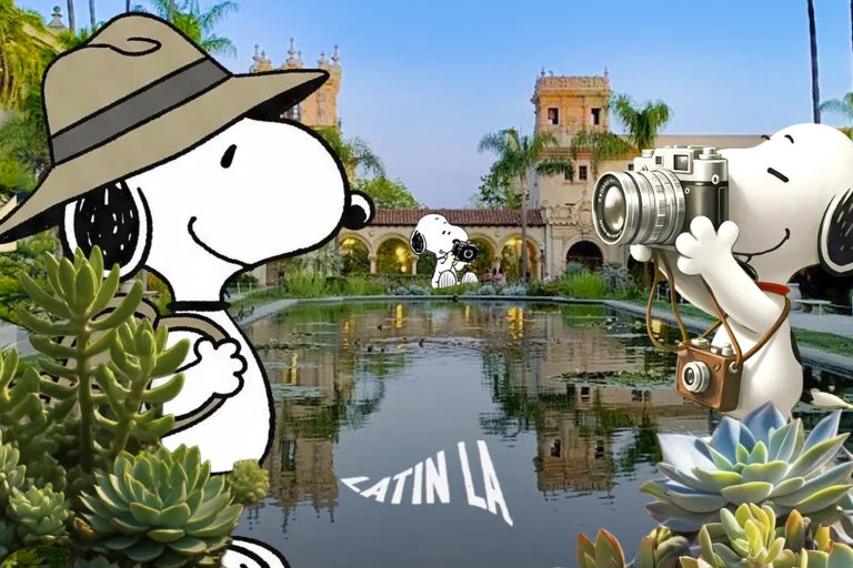 Este oasis de cactus en San Diego es un plan perfecto para los amantes de las suculentas