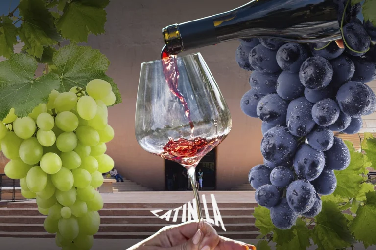 Tijuana será sede de un conversatorio sobre la historia del vino en Baja California