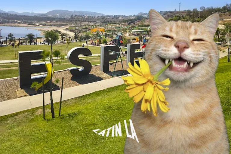 Parque Esperanto de Tijuana recibe reconocimiento internacional por innovación urbana y ambiental