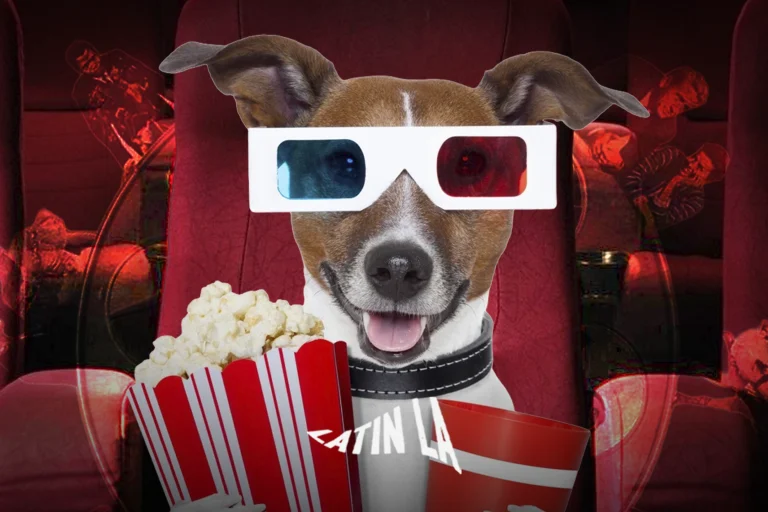 ENCITI 2026 llega al CECUT con cine independiente, formación y diálogo creativo en Tijuana