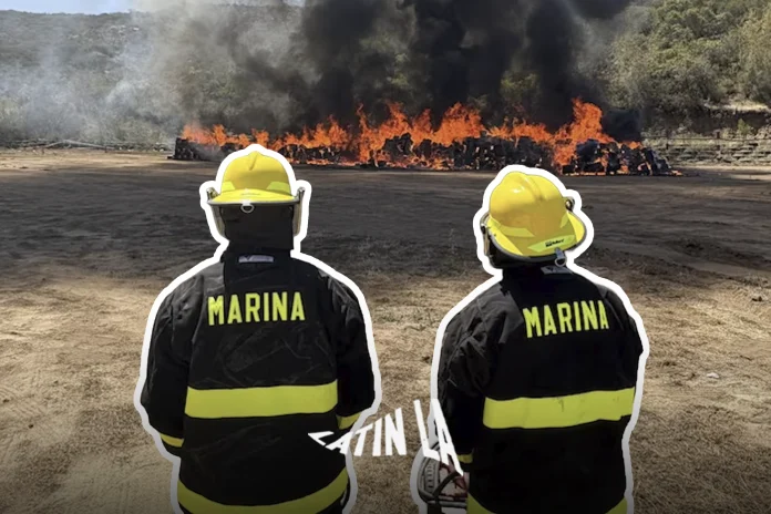 MARINA_QUEMA_12TON_SITIO_WEB