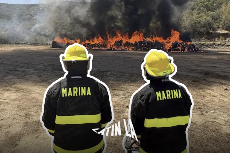 EN FOTOS: Marina quema 12 toneladas de marihuana decomisada en Baja California