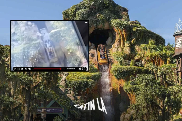 VIDEO: Niño cae 15 metros en Disneyland tras bajarse antes de tiempo de atracción