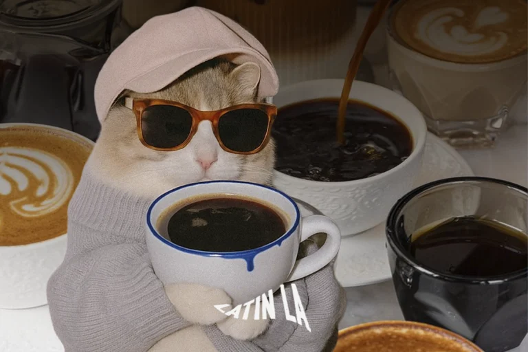 Mega Coffee Party reunirá a amantes del café en Tijuana con degustaciones, música y gastronomía