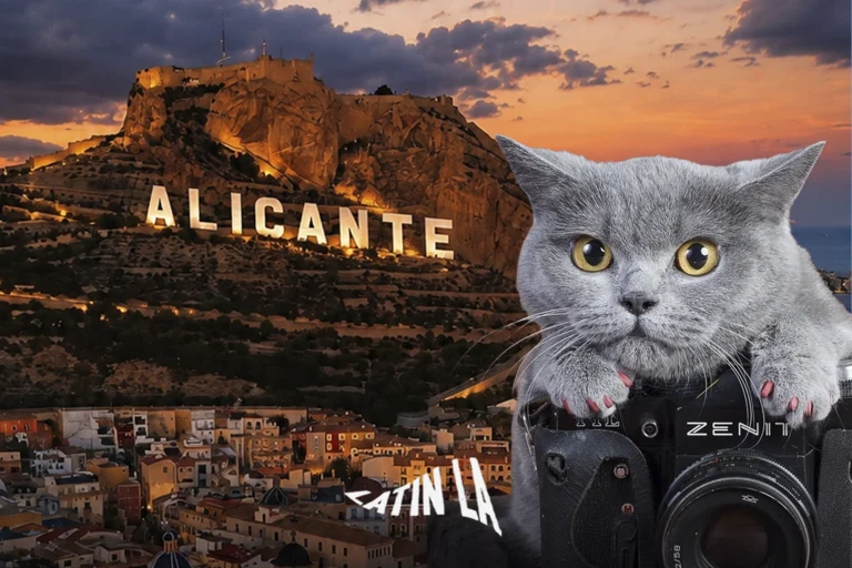 Alicante busca convertirse en el “Hollywood español” con una inversión millonaria en la industria cinematográfica