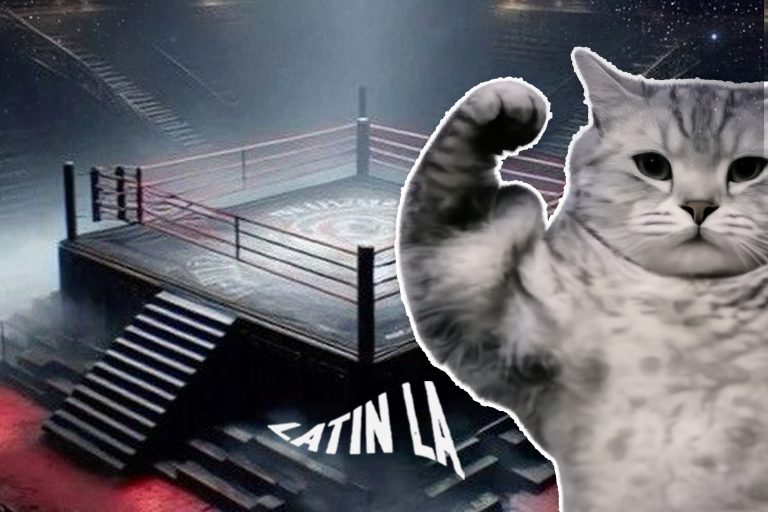 WWE 2026: así puedes comprar boletos y cuánto cuestan los shows de la empresa de lucha libre