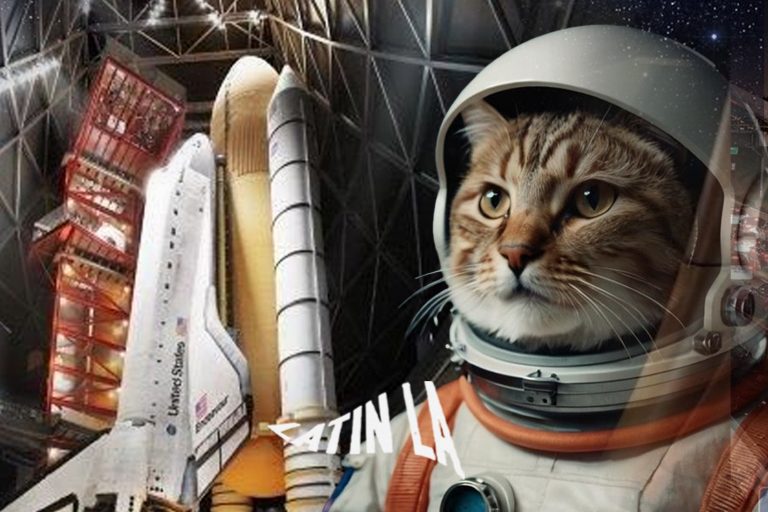 El Endeavour y el nuevo centro espacial de California Science Center se preparan para una nueva era de exploración