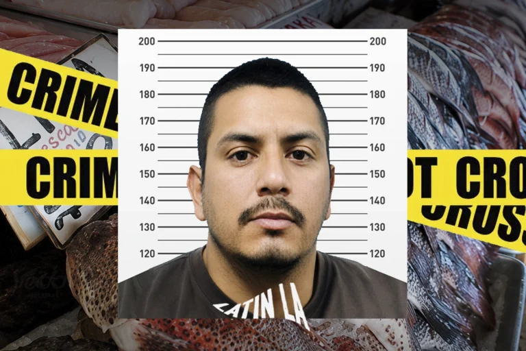 La pesca y los mariscos de Ensenada, bajo control del crimen organizado