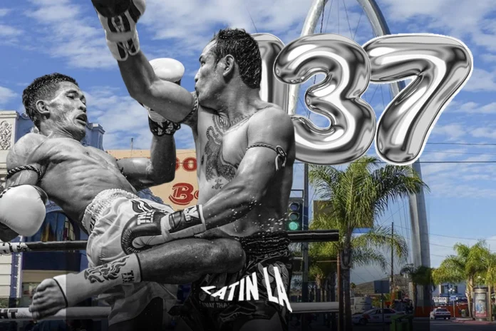 58_ARTES_MARCIALES_SITIO_WEB