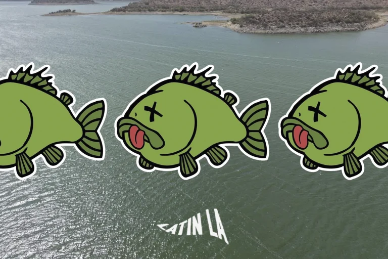 Investigan mortandad de peces en la presa El Carrizo; autoridades intensifican monitoreo