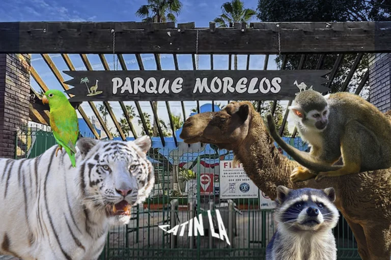 Analizan reubicar animales del Parque Morelos para garantizar mejores condiciones de bienestar