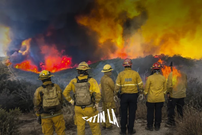03_INCENDIO_FORESTAL_SITIO_WEB