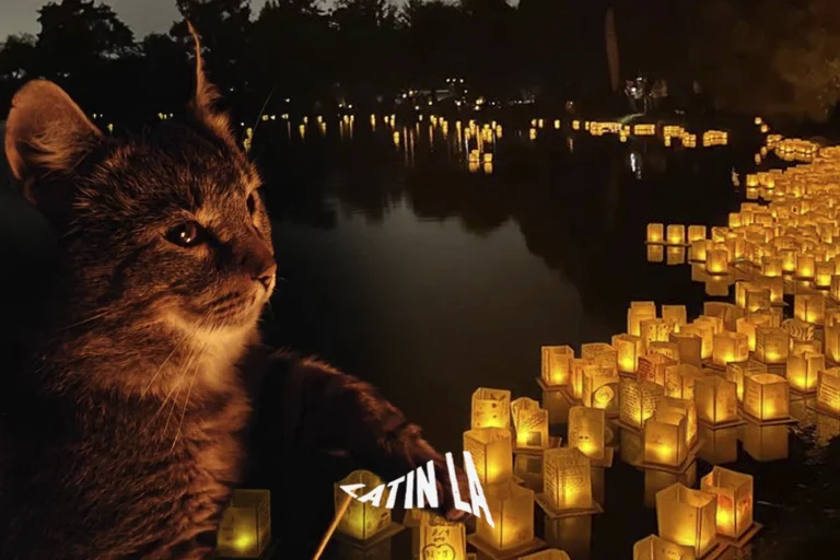 Water Lantern Festival llegará al sur de California con una experiencia llena de luces y reflexión