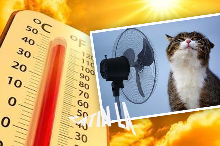 Protección Civil alerta por calor extremo en Tijuana durante agosto